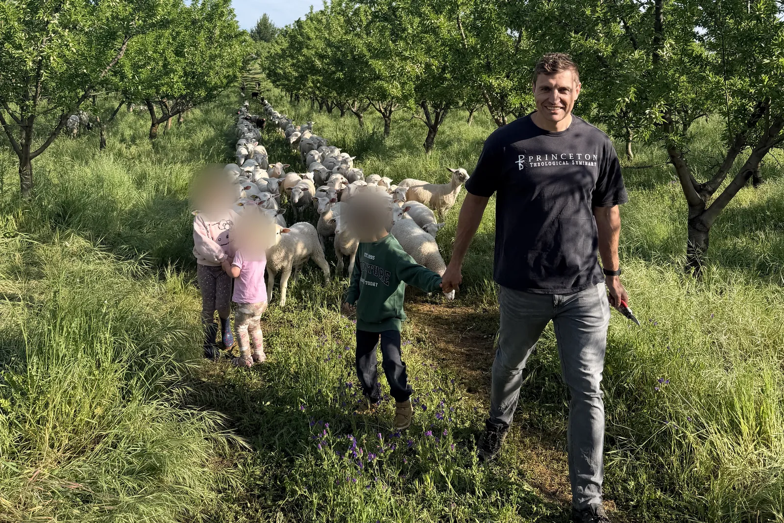 Jacques walking through an almond orchard with family and the flock of sheep behind them.